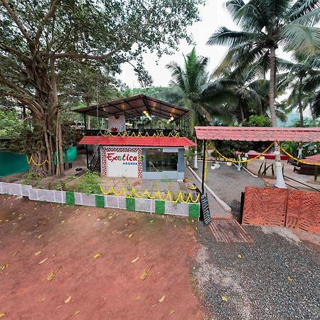 The Exotica Agonda Hotel Exterior foto